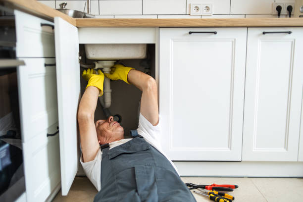 Best Residential Plumbing Services  in Lake Lakengren, OH